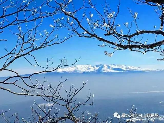 日常做好九点 给心脏减负